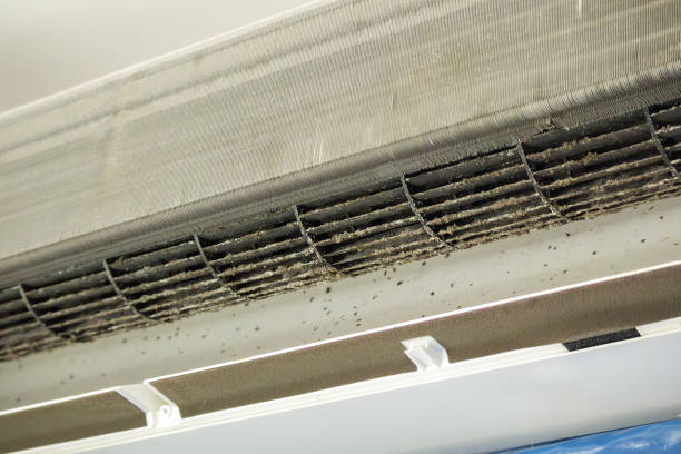 Best Air Duct Cleaning Near Me in Wolfforth, TX